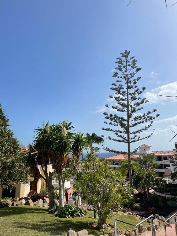 Paraiso Albatros, Beautiful Complex San Miguel de Abona Extérieur photo